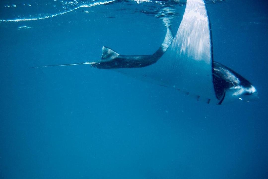 Photo of Others in Mathiveri