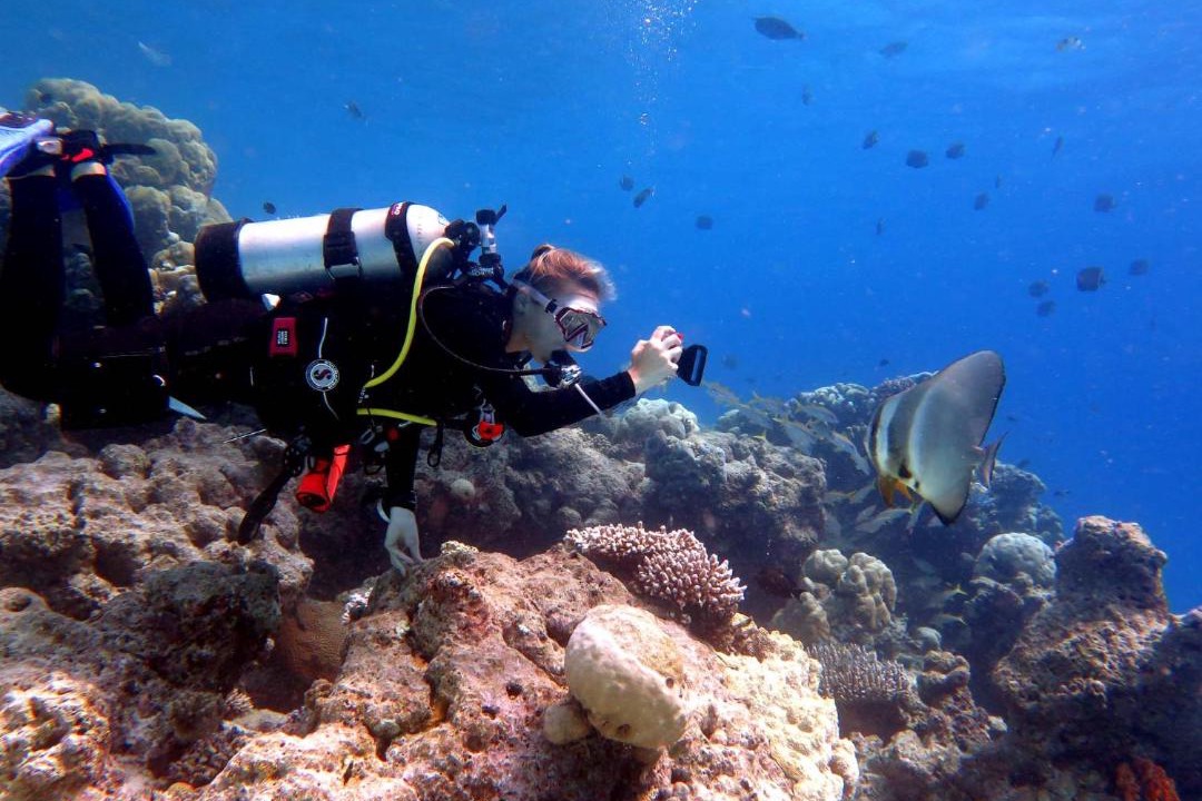 Photo of Others in Hulhumale