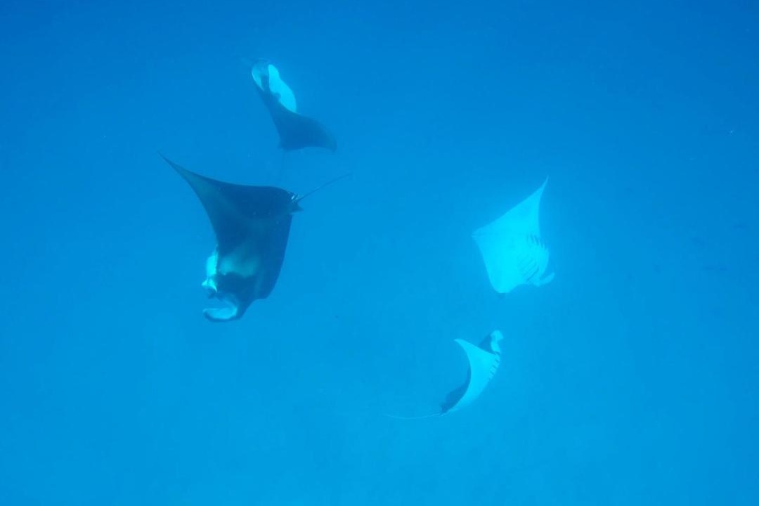 Photo of Others in Mathiveri