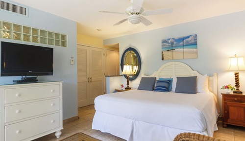 Studio Suite (Upper floor only)