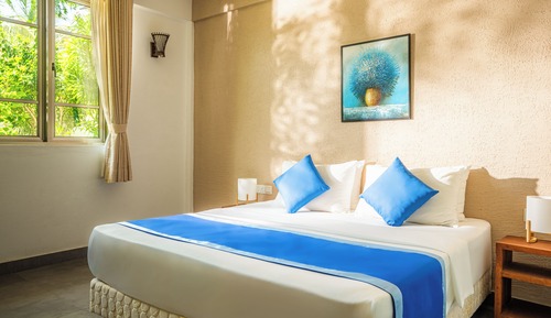 Deluxe Double or Twin Room, Garden View