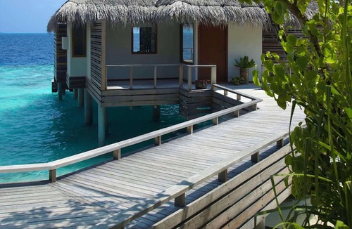 Mudhdhoo Resort | Dusit Thani Maldives - 50 percent off on Transfers for Stays of 5 Nights stay until 23 October 2026