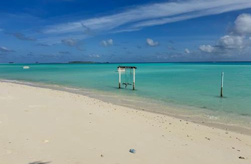Maamigili Bed & Breakfast | Whaleshark View