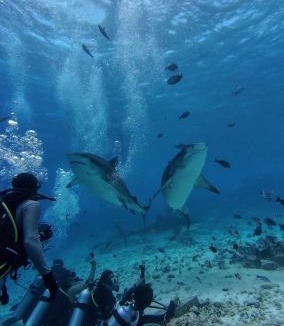 Fuvahmulah Hotel | Silver County Fuvahmulah Diving Hotel