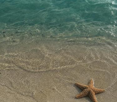 Himmafushi House | Serenity Inn - Himmafushi, Maldives
