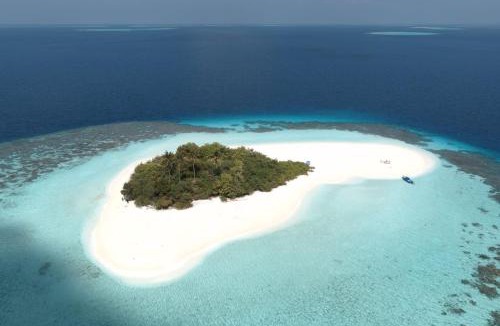Dhidhoofinolhu Island House | Feeali Buddies Inn