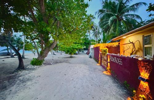 Omadhoo House | ALICROSS Maldives omadhoo