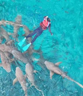 Mahibadhoo Hotel | Raalhu Fonu Maldives