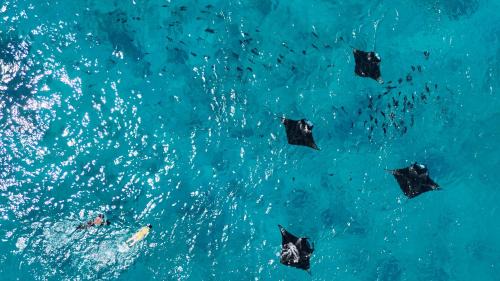 Mahibadhoo Hotel | Raalhu Fonu Maldives