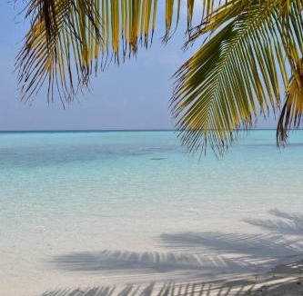 Niyama Hotel | Villa Buruni Maldives Beach
