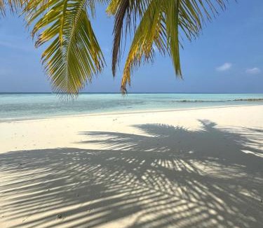 Niyama Hotel | Villa Buruni Maldives Beach