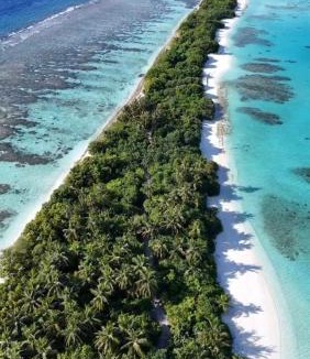 Dhigurah Hotel | Lagoon Dhigurah