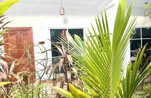 Thoddoo Hotel | Thoddoo Island Life