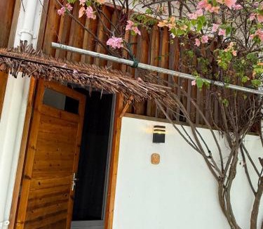 Dhiffushi Hotel | Navaya Dhiffushi