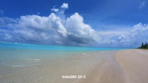 Blue Wave Guesthouse Maldives - Book FB a week gets a free excursion