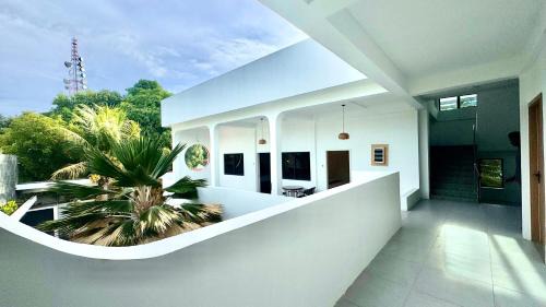 Celestial Oasis in Felidhoo