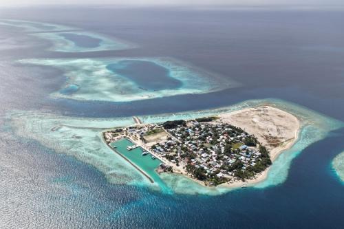 Feeali Buddies Inn in Dhidhoofinolhu Island