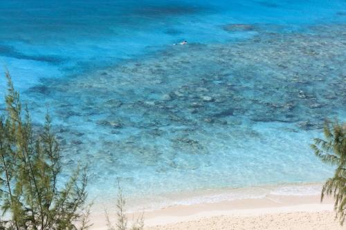 Hotel Indigo Turks & Caicos Grace Bay by IHG in The Bight Settlements