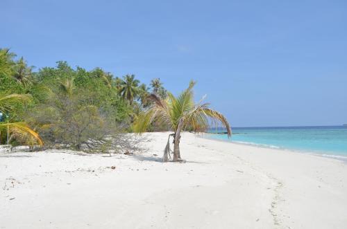 Sunny Day Inn Maldives